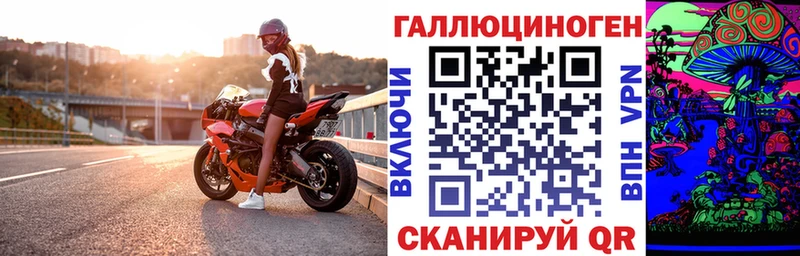 Псилоцибиновые грибы GOLDEN TEACHER Новороссийск